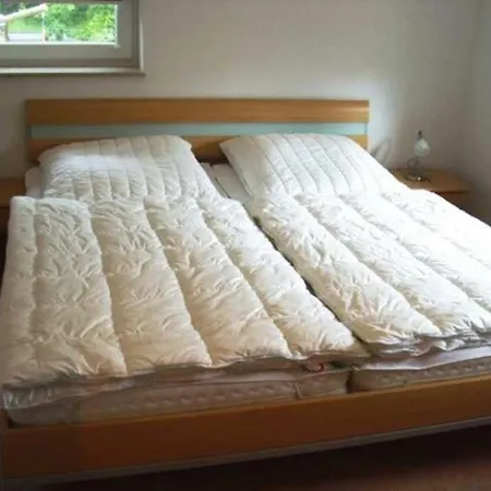 Furch Kastanien Gm 69256 Graal-Müritz