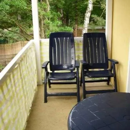 Furch Kastanien Gm 69256 * Graal-Müritz